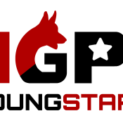 IGP-Youngstars-logo-farbig-rs-trans.png