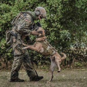 Militaer-Dog-K9 Militaer-Dog-K9