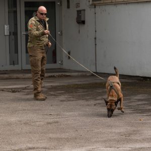 WhatsApp Image 2026-03-04 at 14.08.27