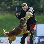 WhatsApp Image 2026-04-07 at 14.43.34