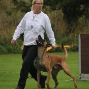 WhatsApp Image 2026-04-12 at 10.00.22